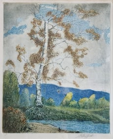 LO Griffith Aquatint Etching, Sycamores
