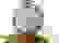 item-17047300=4