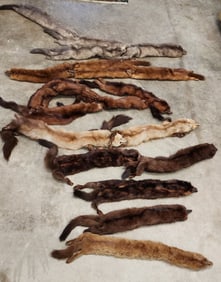 Group of Full Body Mink Collars