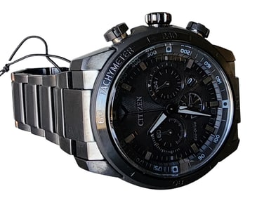 Citizen EcoDrive Ecosphere Men's Watch