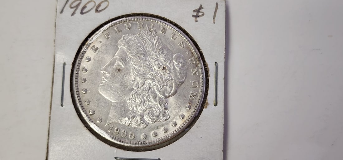 (2) US Silver Dollars, Morgan - 4