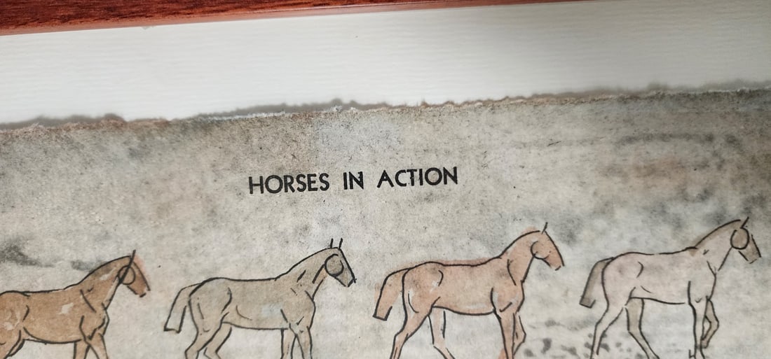 Jane Rosen, "Grey Spit Bite" Etching - 3