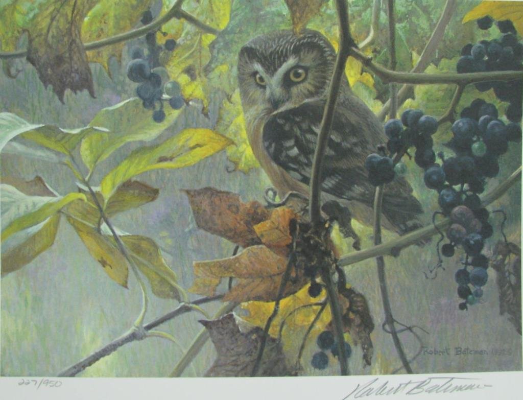 Group of Limited Edition Prints, Robert Bateman: Group of limited edition prints by artist Robert Bateman, 20 in group, including "Siberian Tiger", "Black Jaguar", "Vigilance", "At the Cliff--Bobcat", "Beach Grass and Tree Frog" and others, all incl