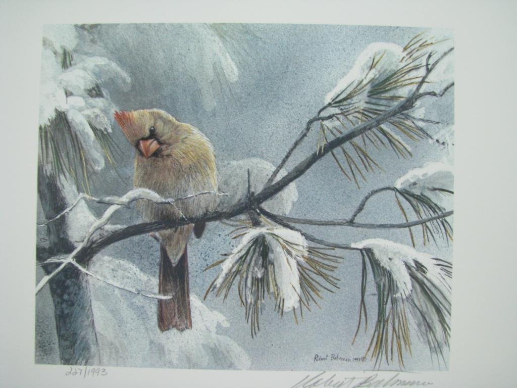 Group of Limited Edition Prints, Robert Bateman: Group of limited edition prints by artist Robert Bateman, 14 including "Female Cardinal", "Bluebirds and Blossoms", "Plan of the Raven", "Cardinal and Sumac" (three) and others, all including original