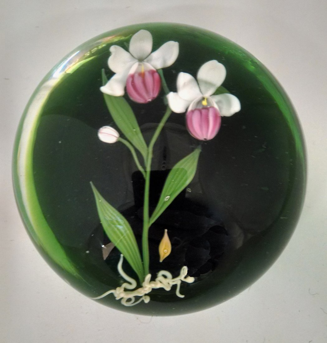 Stankard Art Glass Paperweight: A Paul J. Stankard art glass paperweight, American Floral series, depicting a showy lady's slipper on green ground, with signature, Cane, 35/75, B65 1980 incised above foot