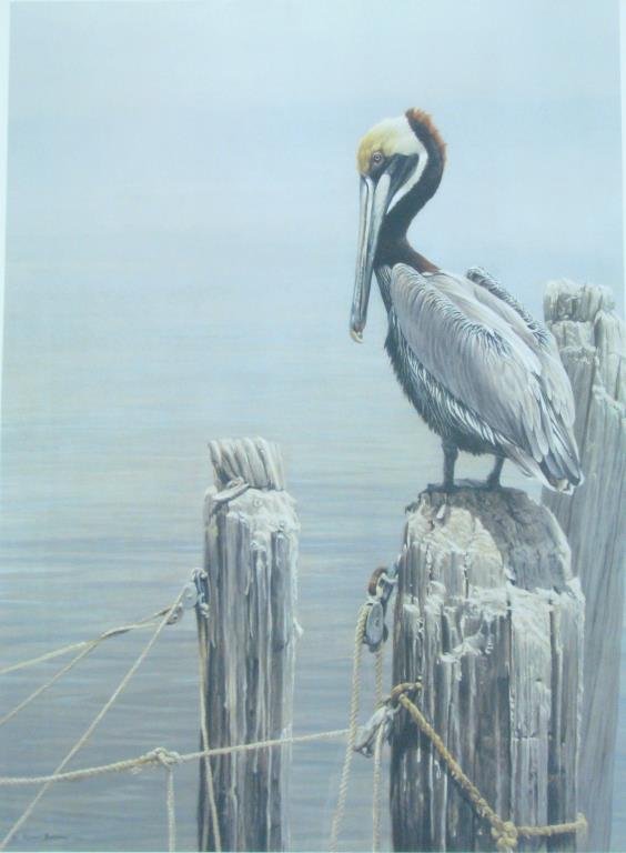 Robert Bateman Framed Litho "Pelican": Robert Bateman framed, limited edition lithograph, pencil signed and number 606/950 lower margin, entitled, " BROWN PELICAN AND PILINGS " , size as framed 40 x 32