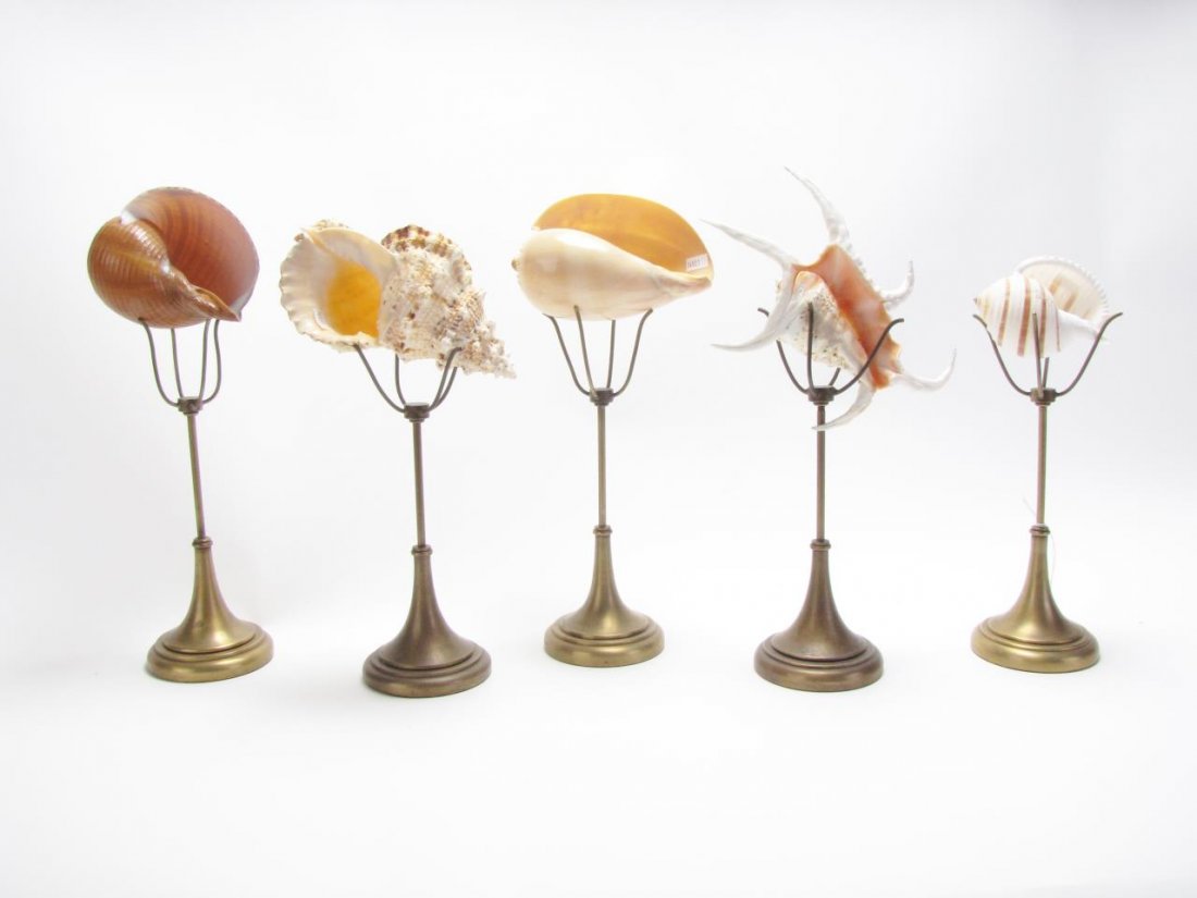 Group of Maitland-Smith Pedestal Shell Art (1 of 2)
