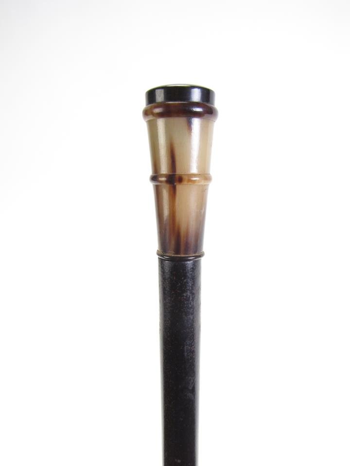 Tortoise Shell Blow Dart Cane (1 of 7)