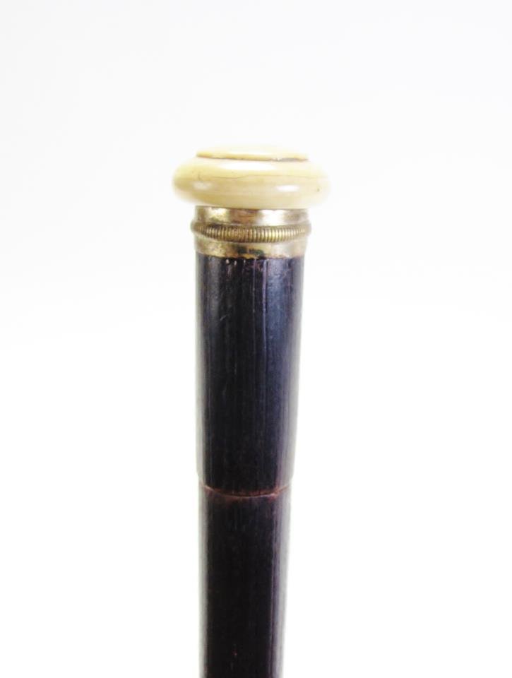 Autopsy and Dissection Cane (1 of 5)