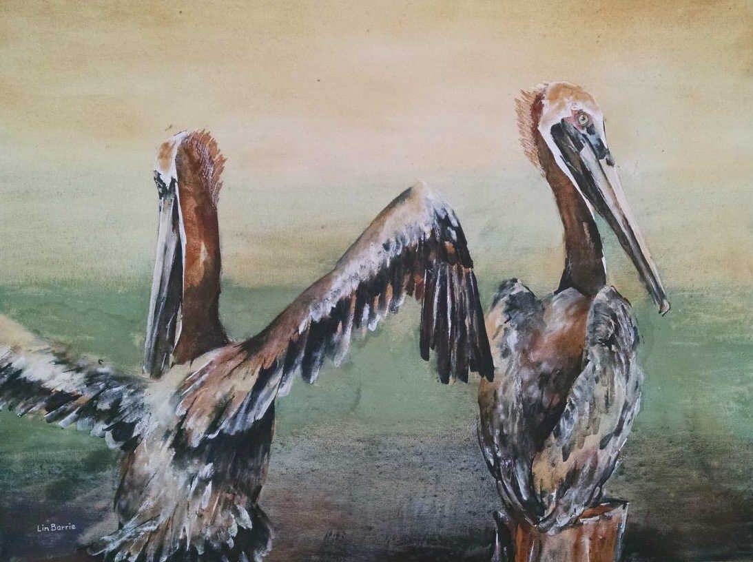 Lin Barrie 30x40 O/C "Brown Pelicans..." (1 of 3)