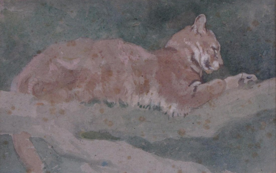 J Murray Thompson 6x9 WC "Puma Youngster": J Murray Thompson (UK, 1885 - 1974) 6x9 , WC , signed , "Puma Youngster" , Inscribed: title and details verso