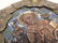Antique Russian Brass and Enameled Icon - 3