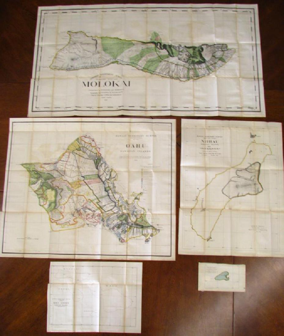 Group of Antique Hawaiian Territory Survey Maps (1 of 6)