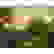 item-102540119=2