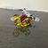 Swaroski Disney Mickey Mouse Crystal Figurine - 9