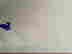 item-63695582=2