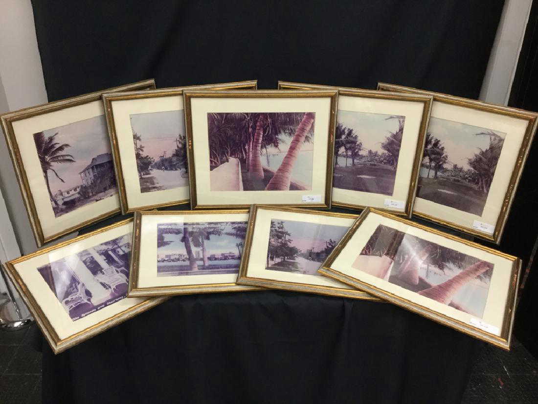 9 Antique Palm Beach Scenes Locales Art Framed B W