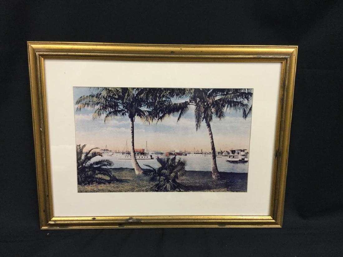 FRAMED PRINT WEST PALM BEACH PALM TREES POSTCARD (1 of 1)