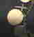 item-71111885=8
