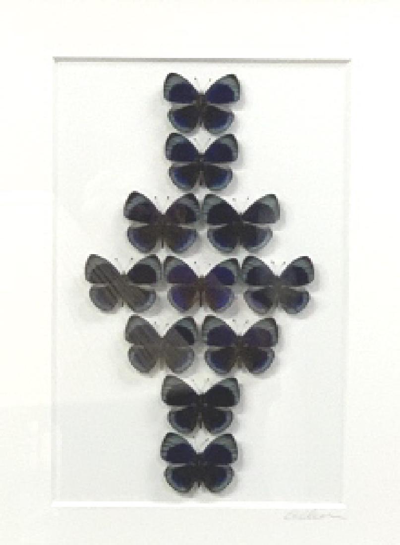 OPTHEMA BY CHRISTOPHER MARLEY (1 of 6)