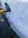 item-77980490=4