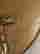 item-83360893=4