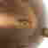 item-84423684=3
