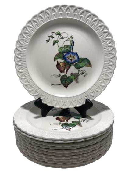 12 VTG COPELAND SPODE "CONVOLVULUS" PLATES 9": 12 VTG COPELAND SPODE "CONVOLVULUS" PLATES 9"