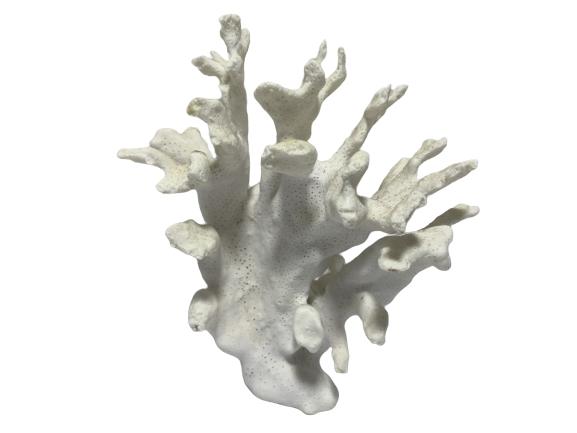 VTG WHITE CORAL REEF DECOR PIECE (1 of 2)