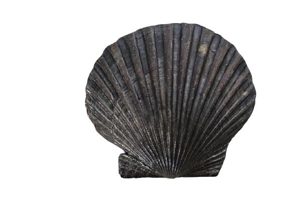 VTG STERLING SILVER SEASHELL BROOCH 1.5" 14.4 GS (1 of 5)