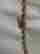 item-91640568=2