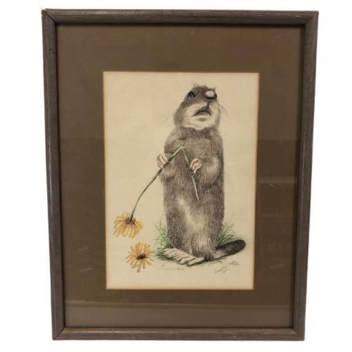 CHARLOTTE YOUNG FRAMED BEAVER PRINT 19" (1 of 6)