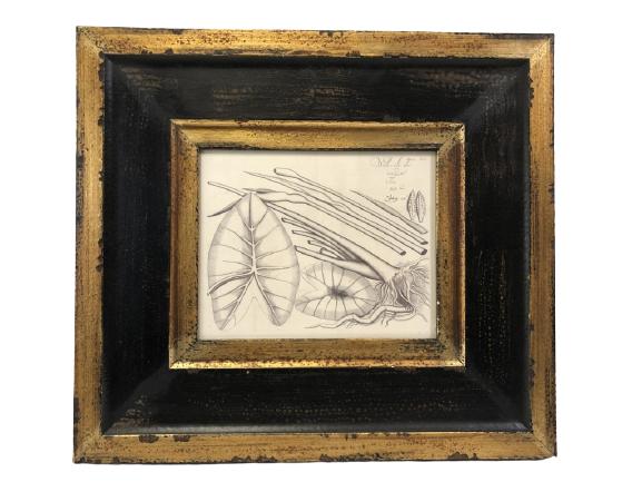 VTG MALMAR BOTANICALS PRINT FRAN MURPHY 19" (1 of 7)