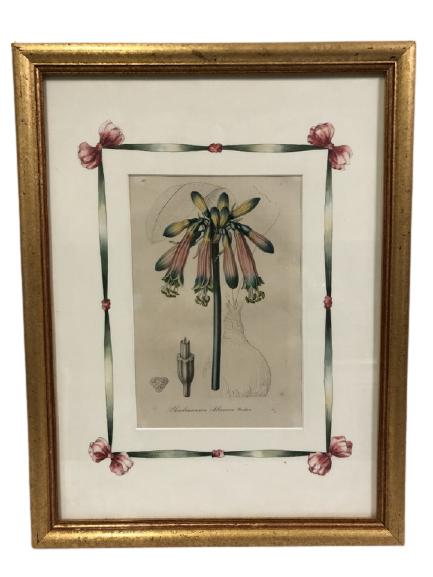 PAXTON 1834 FRAMED ENGRAVING PRINT  18" (1 of 7)