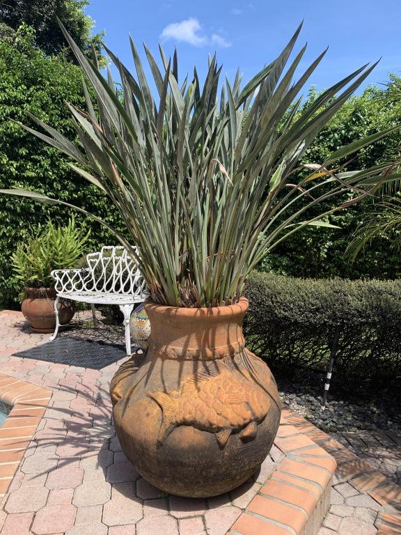 LG TERRACOTTA KOI FISH PLANTER 30" X 30" (1 of 3)