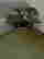 item-92497850=2