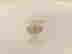 item-93167756=2