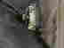 item-93233177=3