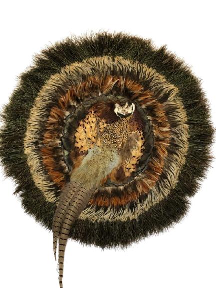 TAXIDERMY PEACOCK PHEASANT FEATHER SCULPTURE 28" (1 of 5)