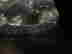 item-94727111=2