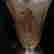 item-94796667=3