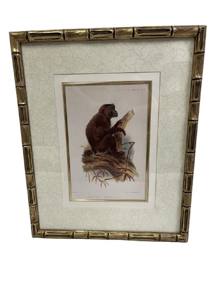 NICELY FRAMED MONKEY PRINT IN FAUX GOLD BAMBOO (1 of 5)