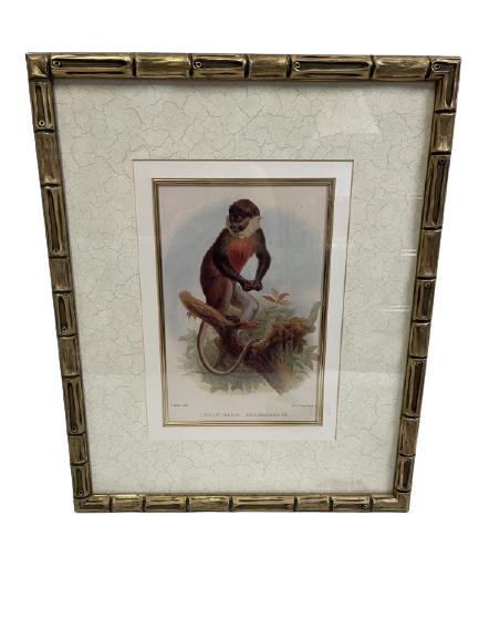 NICELY FRAMED MONKEY PRINT IN FAUX GOLD BAMBOO (1 of 5)