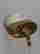 item-96946247=4