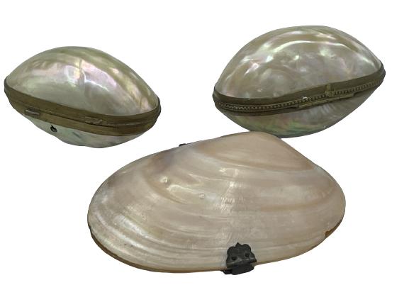 LOT OF 3 ABALONE SHELL TRINKET BOXES: LOT OF 3 ABALONE SHELL TRINKET BOXES -SEE PICTURES FOR CONDITION ERRORS