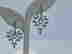 item-98858493=2