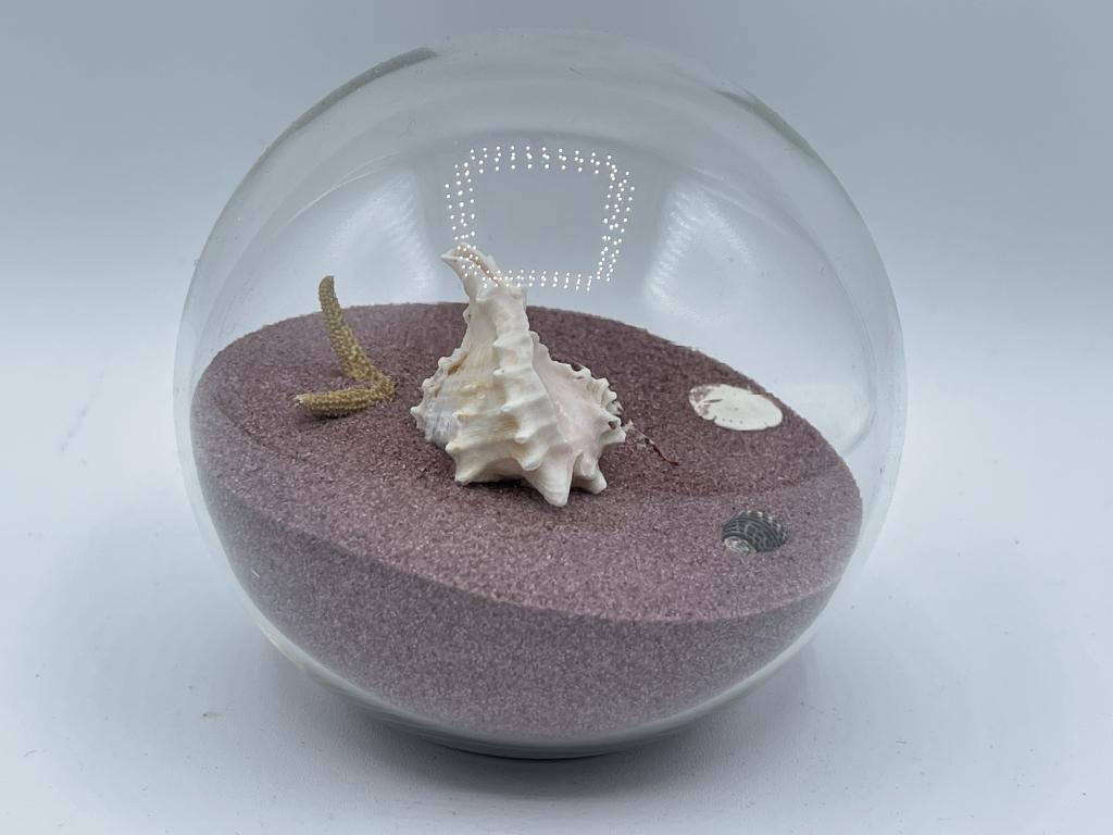 STUDIO B SEASHELL GLOBE: STUDIO B SEASHELL GLOBE