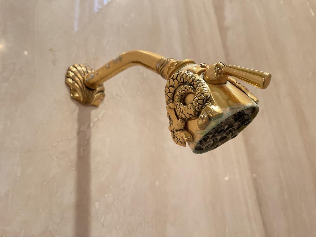 SHERLE WAGNER STYLE SERPENT BRASS SHOWER HEAD (1 of 1)