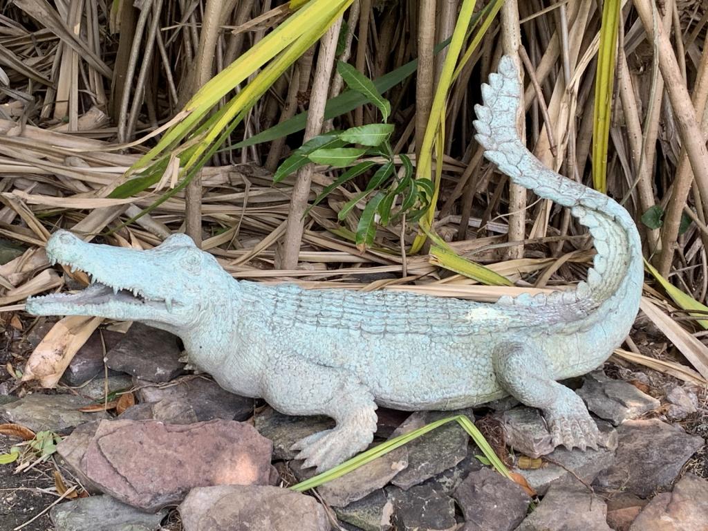 LIFE SIZE BRONZE ALLIGATOR SCULPTURE 48" (1 of 5)