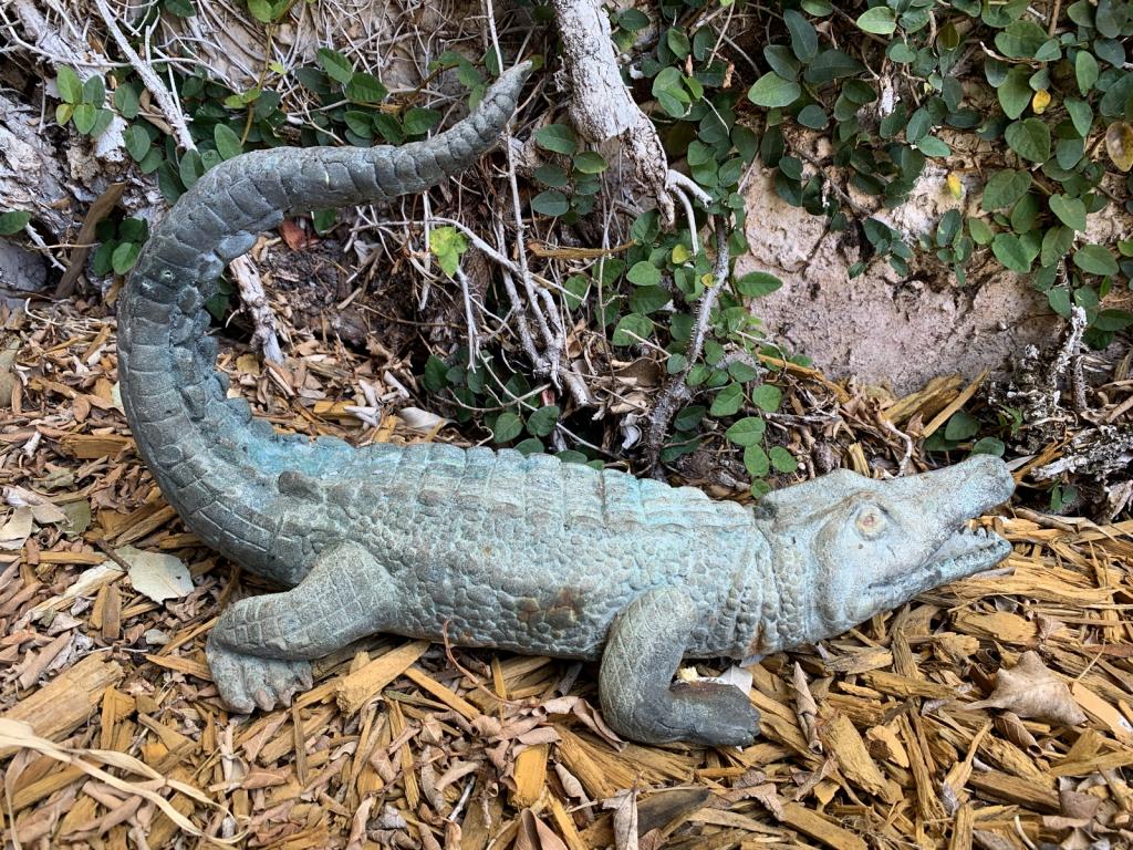 BRONZE ALLIGATOR SCULPTURE 13" (1 of 3)